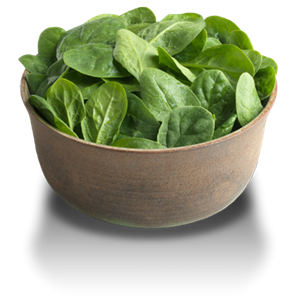 Spinach PNG-79153